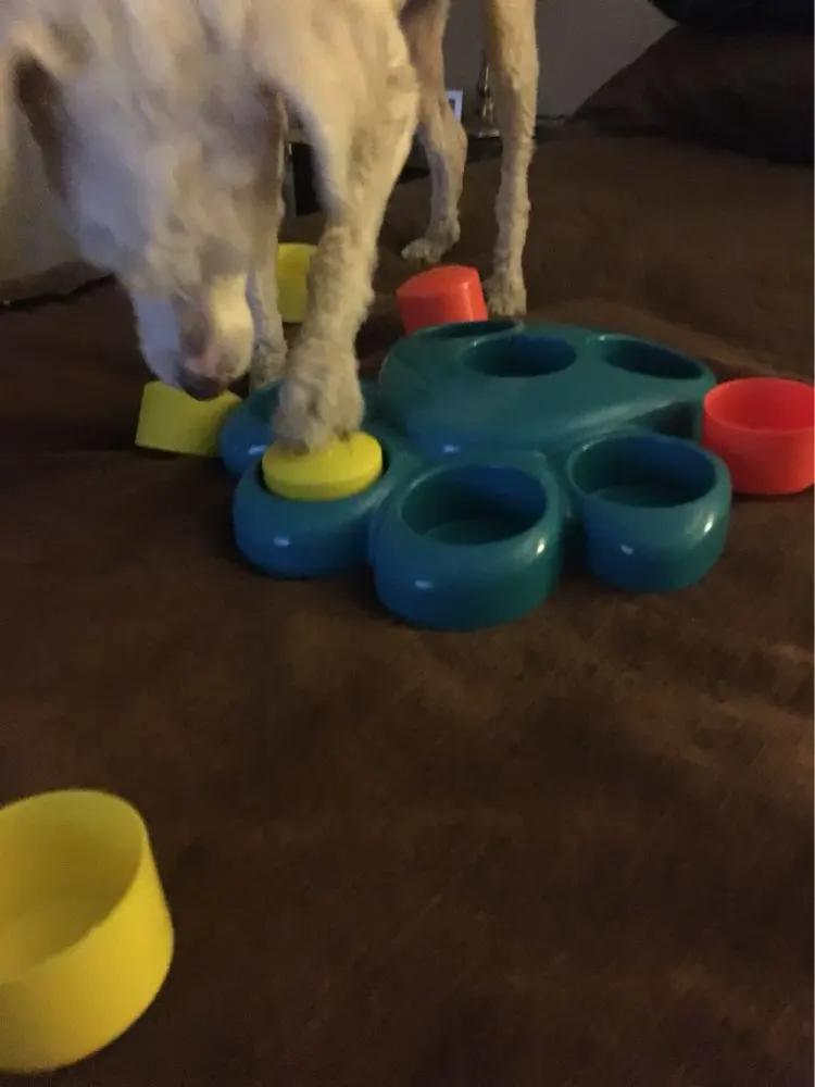 UT8vVYBX5FaXXagOFbXt