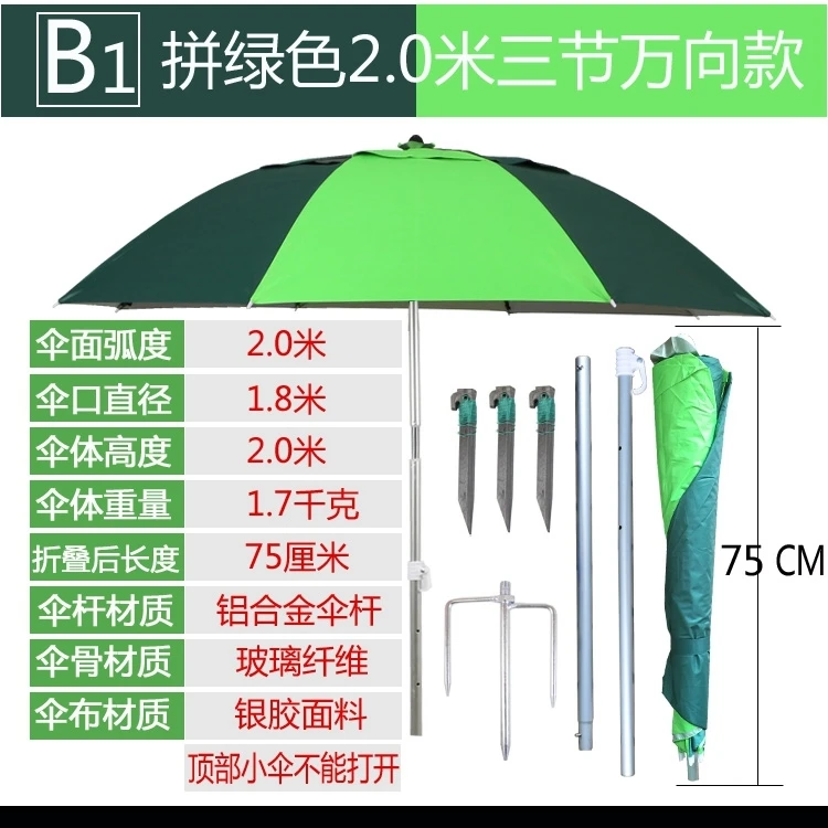 B1