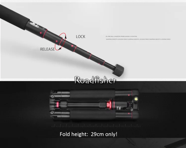 Camera tripod NB238-3