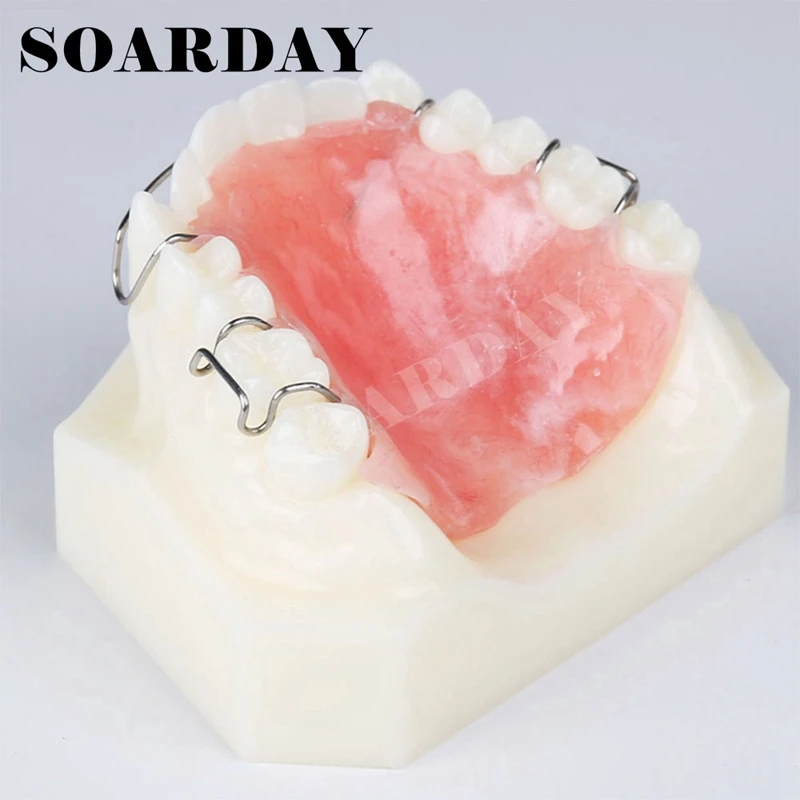 Dental Retainer Demonstration Model Orthodontics Treatment Model  (3)