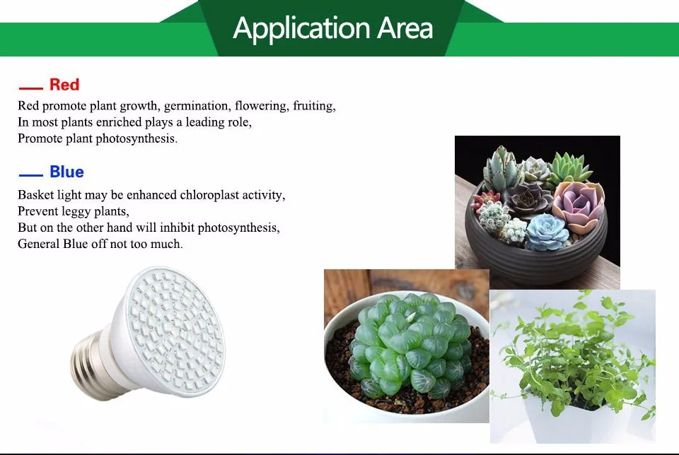 3003418867_241997919