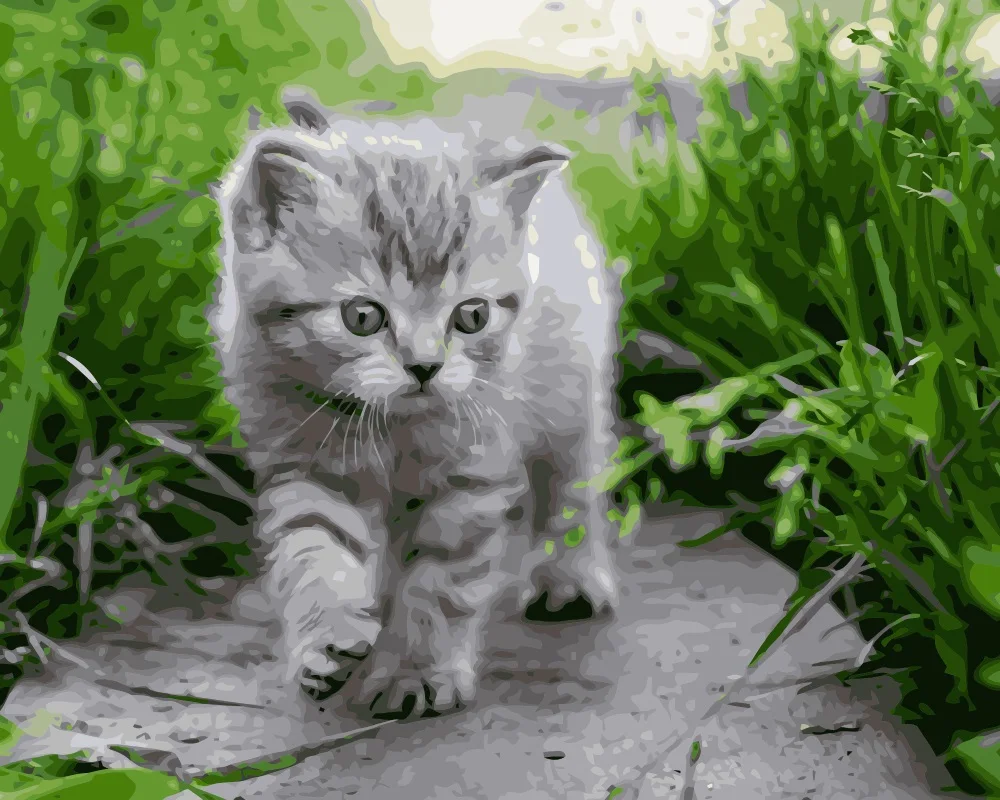 1 меньше котят. полосатый котенок. 1 меньше котят. маленький котенок. обои с котятами.