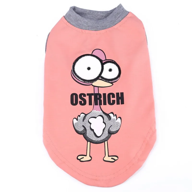 HTB11VzDPFXXXXXsXXXXq6xXFXXXR