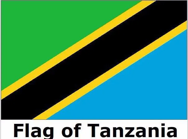 Popular Tanzania Flag Buy Cheap Tanzania Flag Lots From China Tanzania 