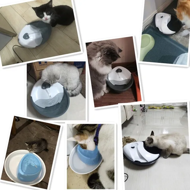 Local Delivery Automatic Pet Feeder Electric Fountain Cats Pet Bowl Drinking Cycle Filtered Water Dispenser Drink Dish Filter