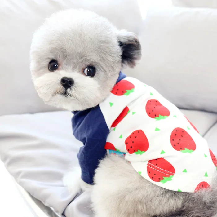 O1CN01IySF841kXteZdb05w_!!369414694