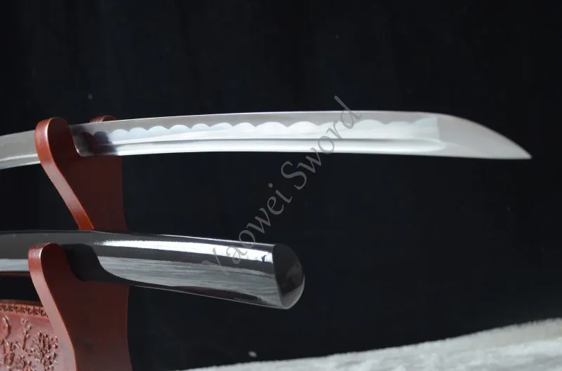 conew_dsc_0039
