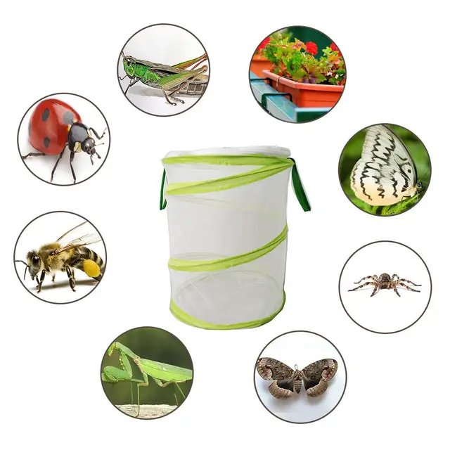 Rovar- És Pillangó Élőhely Ketrec Rovar Tenyésztő Háló Nettó Kültéri Kert Rovarok Etető Megfigyelő Doboz - Image 3