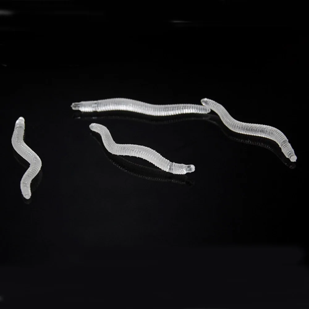 EARTHWORM (6)
