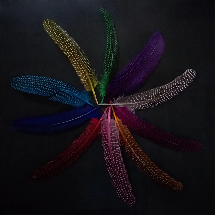 pearl pheasant feathers 1 (11)
