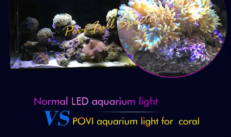 POVI 100W70W50W30W LED coral Аквариум лампы для коралловых Легкая Установка fish tank освещения