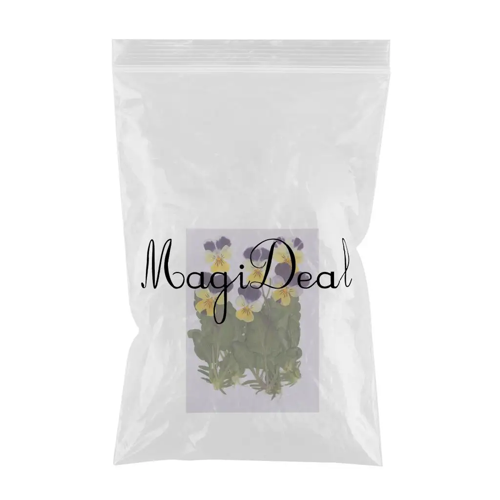 12pc Pressed Real Pansy Flowers Dried Flower Leaves Viola Tricolor Flower For Phone Case Decor DIY Project