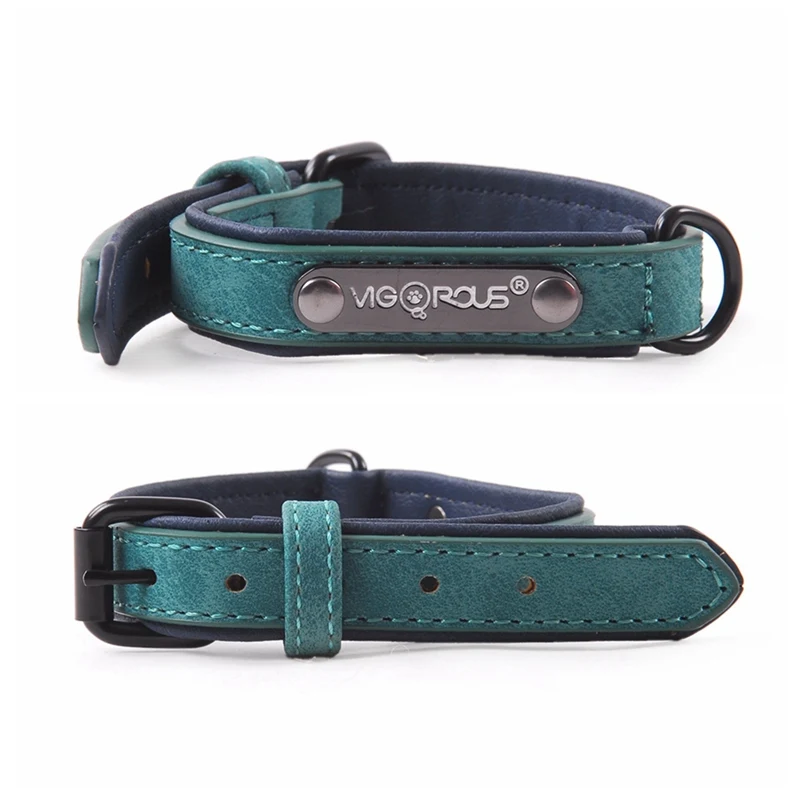 dog collar (3)