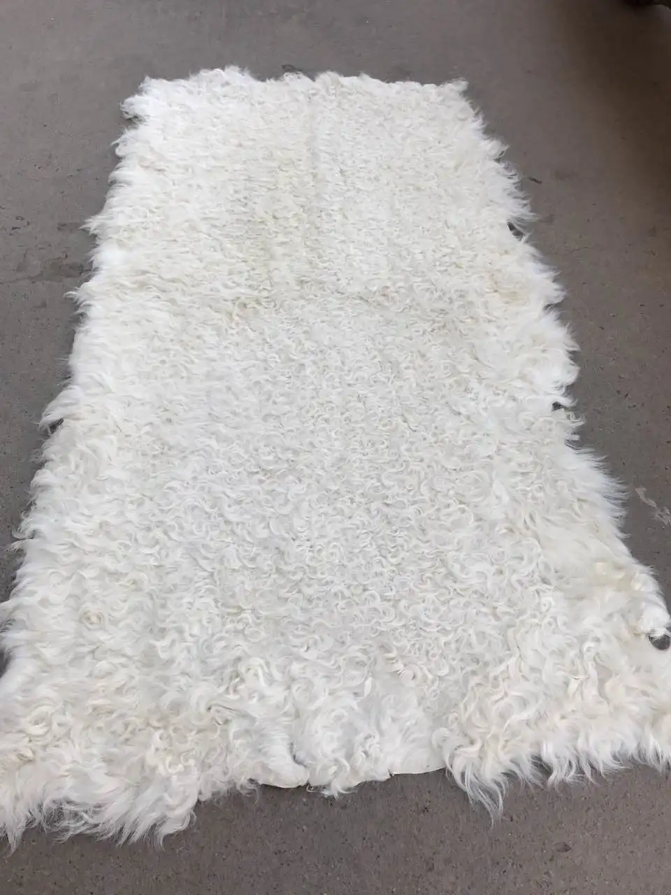 kalgan curyly hair lamb fur (5)