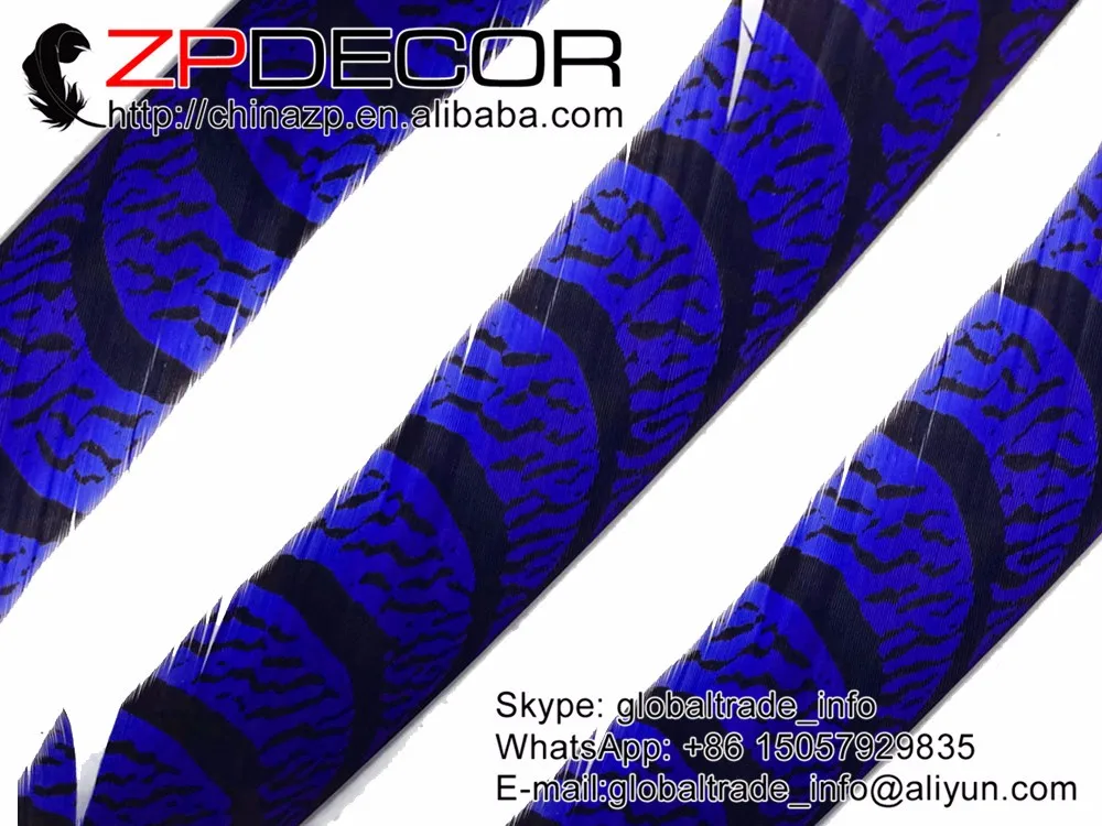 Long Feathers, 5 Pieces - 30-35  ROYAL BLUE ZEBRA Lady Amherst Pheasant Tail  (1)