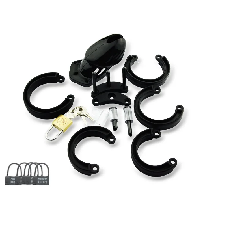 8579491543_434996771