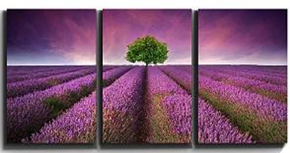 3 pieces framed Wall Art Picture Gift Home Decoration Canvas Print painting Lavender flowers wholesale/XJDC-1-300/237 | Дом и сад