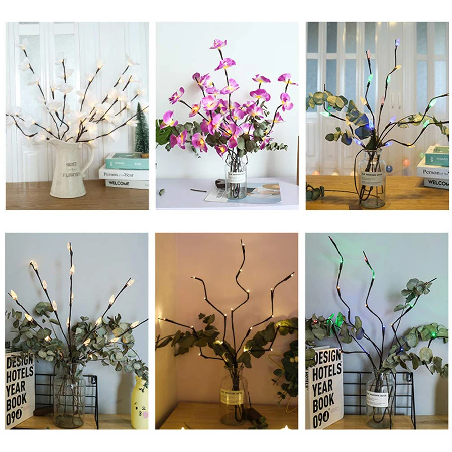 61EE8PuU6%2BL._SL1001_