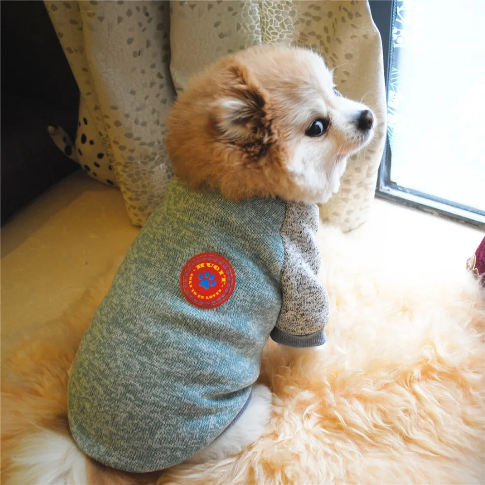 10387546549_361259826