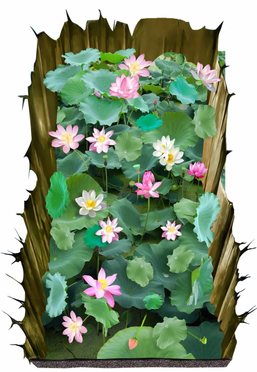 2017-11-03_214132_conew3