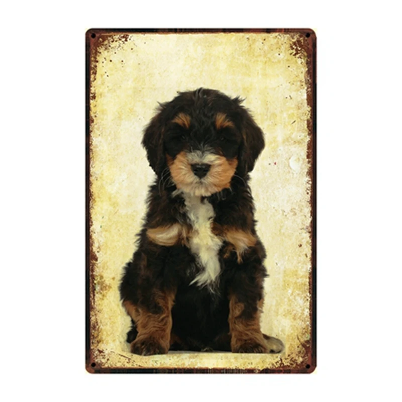 [ Kelly66 ] Pet Dog Akita Terrier Afghan Hound Basenji Metal Sign Tin Poster Home Decor Bar Wall Art Painting 20*30 CM Size Dy81