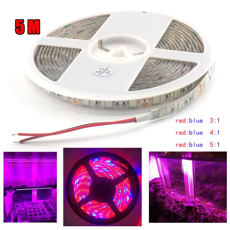 Qvvcev 5M LED Plant Grow Lights strip lighting 5050 growing lamp waterproof DC 12V for vegetable