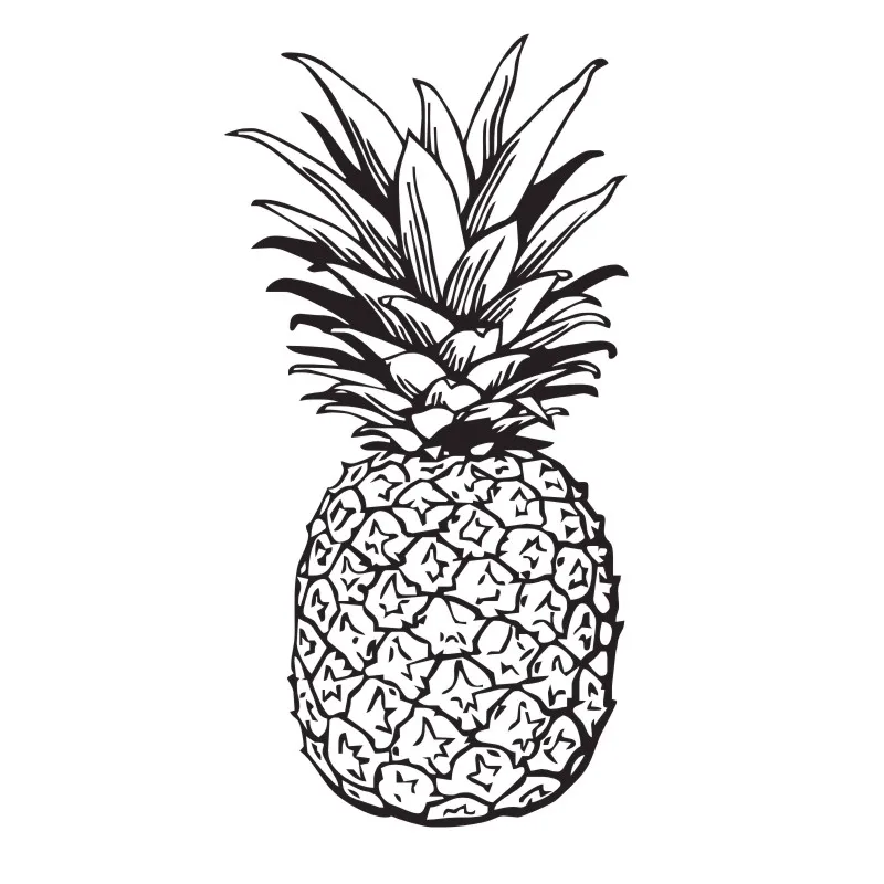 Pineapple Wall Decals Fruit Food Home Decoration Kitchen Wall Sticker Removable Wall Home Decor Pineapple Wall Decals Fruit Food Home Decoration Kitchen Wall Sticker Removable Wall Home Decor