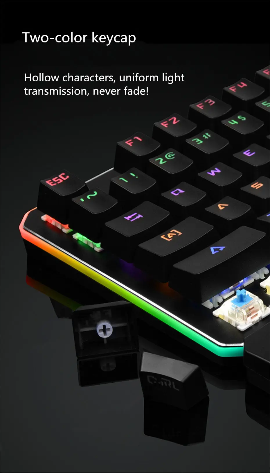 DS01RGB_5
