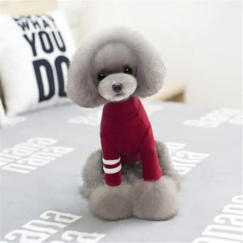 

pet Dog Clothes Warm Dog Coat For Small Dogs Puppy Outfits For Spring Autumn Chihuahua Clothes Pet Clothing