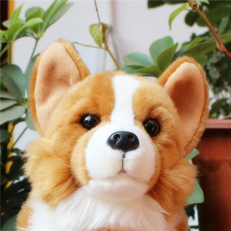 Kawaii Quality Simulation Animal Corgi Plush Toy Stuffed Animals Dog Doll  Mini Dogs Toys for Baby Gift Decoration 28cm DY50178(3)