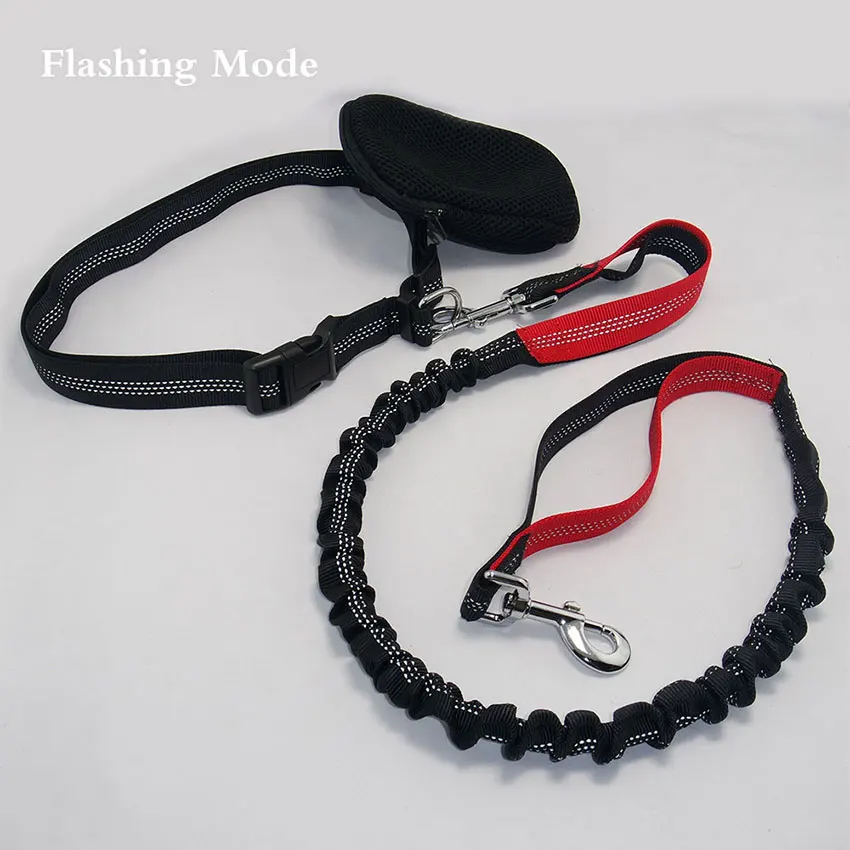 dog leash running