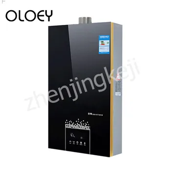 Gas Water Heater Natural Gas Frequency Conversion Thermostat Strong Row Vertical Microcomputer Intelligent Constant Temperature