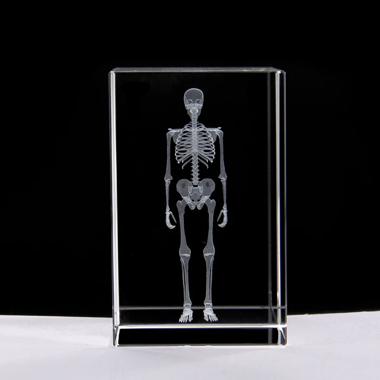 3d Кристалл человека медицинская модель скелета учение кристалл стерео
