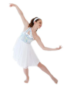 

Girls Ballet Dress For Children Dance Costume Kids Girls Ballet Tutu Dresses Gymnastics Leotard Dance Tutu Dress Dancewear