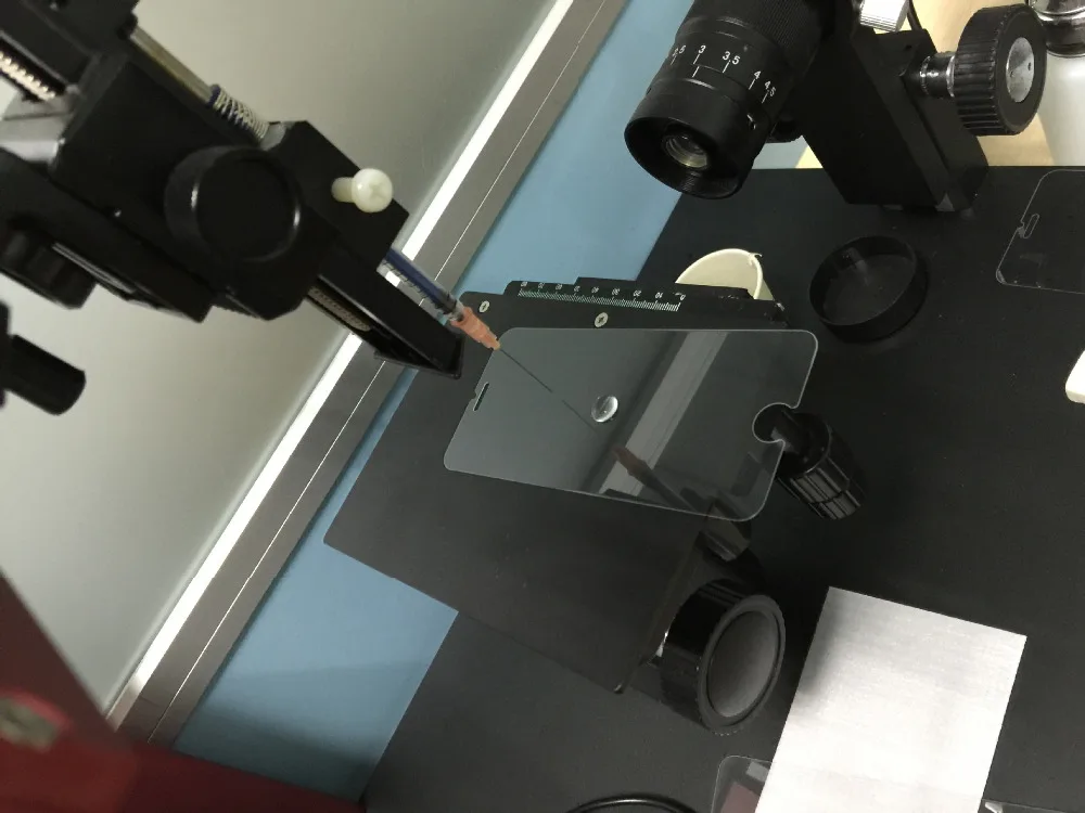 3617581533_1353237307