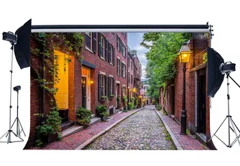 

European Small Town Narrow Street Backdrop Green Leaves Vine Road LaRMs Red Brick House