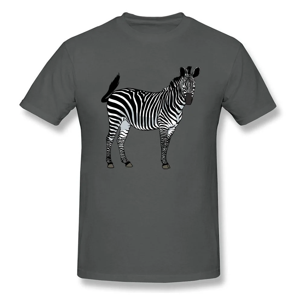 zebra-png-image-2123_carbon