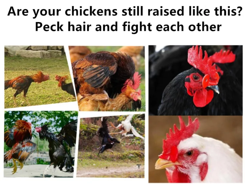 1_
