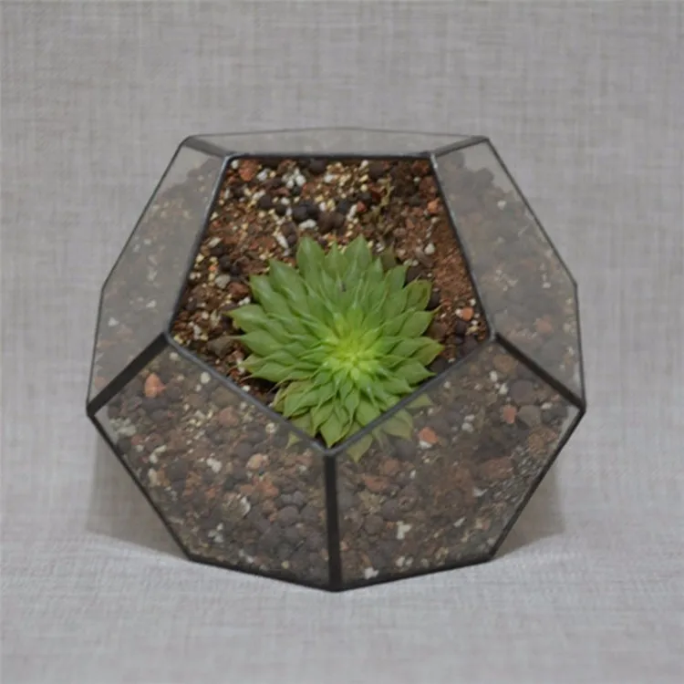 Glass Terrariums Garden Bottles Terrariums6