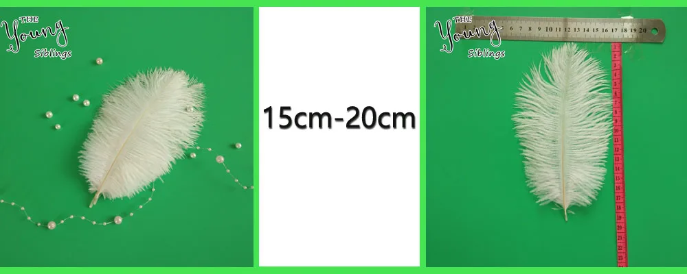 15-20cm-2