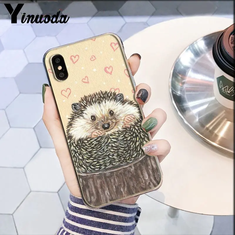 Darcy hedgehog Sheep