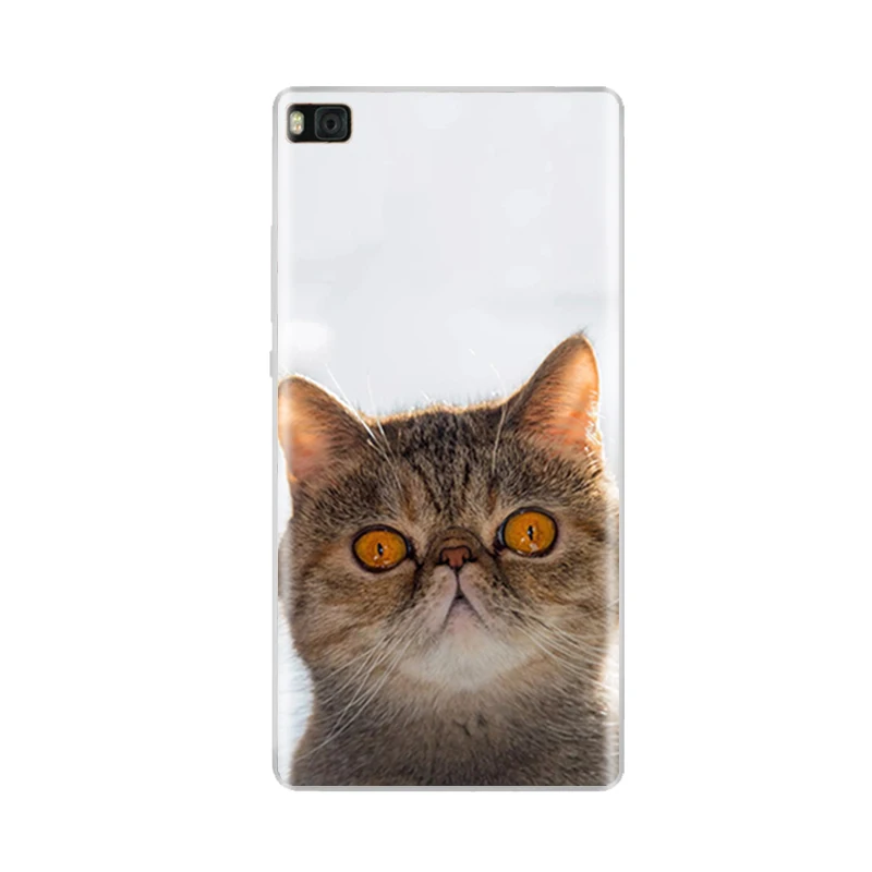 Чехол для 5 0 дюймового Huawei P8 Lite 2015 2016 чехол P8LITE задняя крышка из мягкого силикона