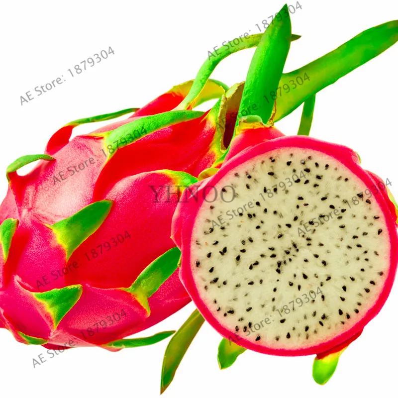 

100pcs/bag Pitaya bonsai Perennial Dragon Fruit Plants Tree Anti-aging red Dragon Fruit flores for Home & Garden