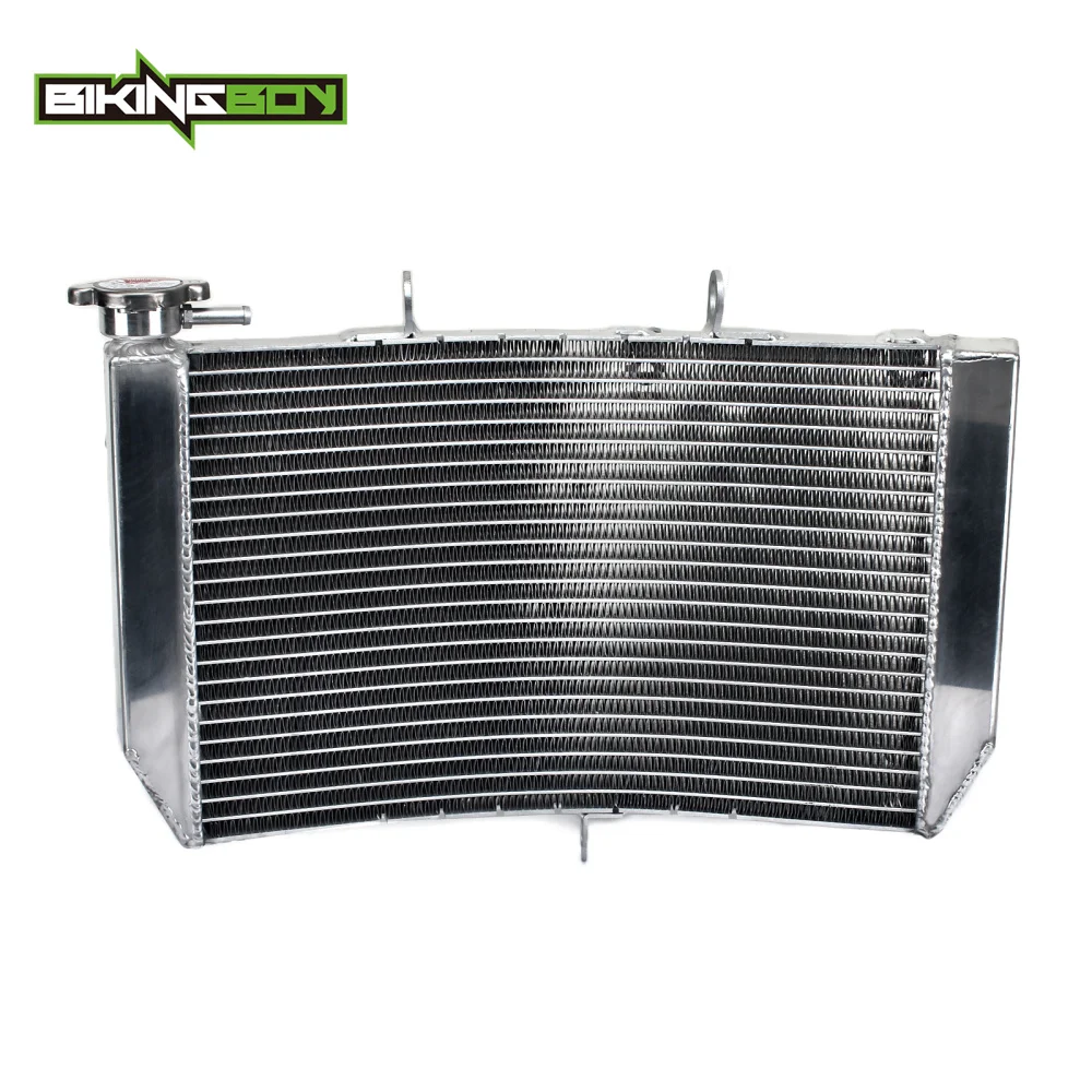 BIKINGBOY Street Bike Motorcycle Aluminum Alloy Cores Engine Water