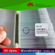 Microbiology fixed 50 kinds bacteria microscope prepared slides set