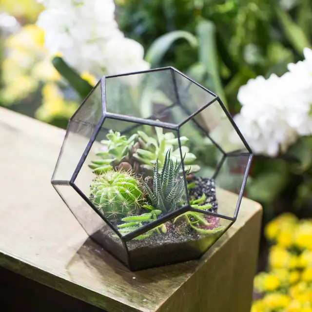 Online Shop Europe 15cm Terrarium Box Desktop Decoration Planter