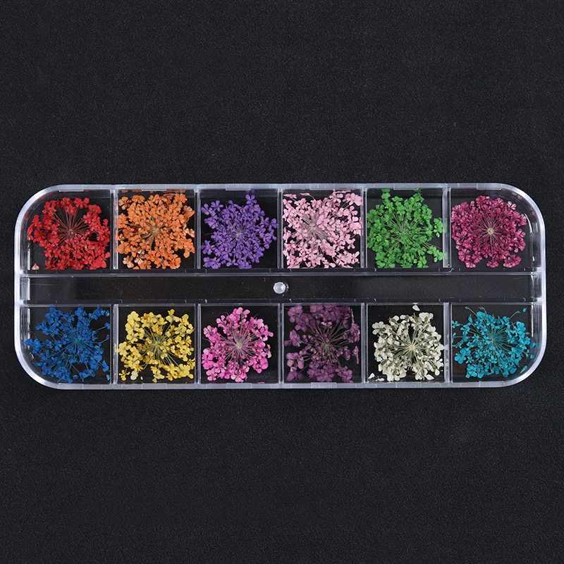 12-Patterns-3D-Dry-Flowers-Stickers-Dried-Nail-Art-Decoration-DIY-Manicure-Tools-w-box-5004 (1)