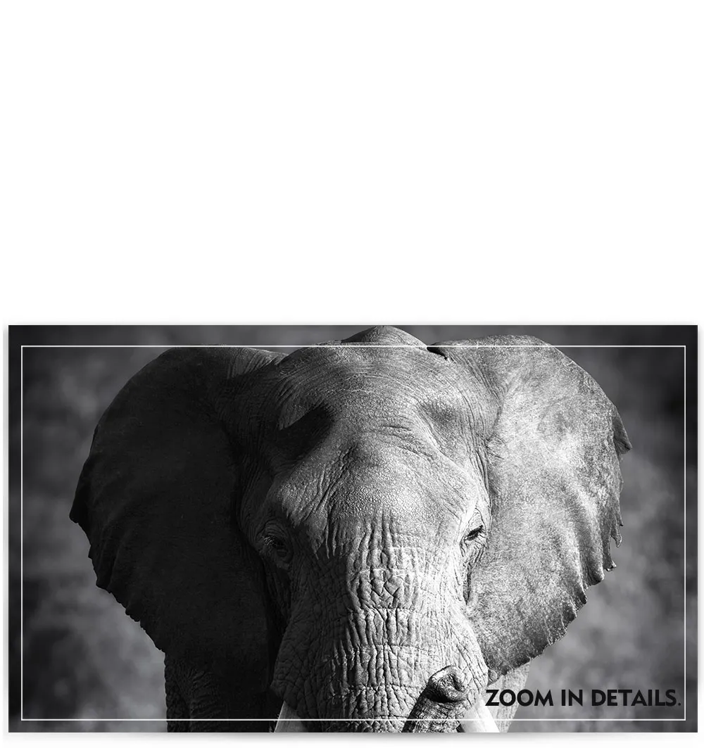 详情1-21个选款_03