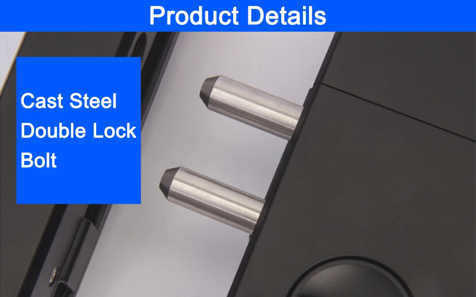 Fingerprint Door Lock (2)