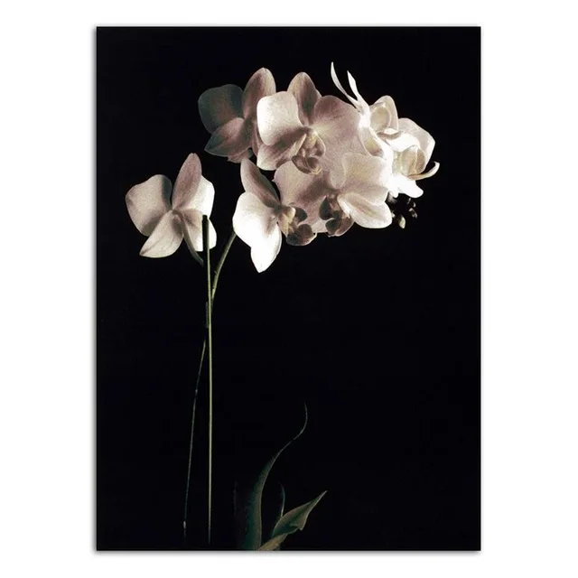 Home-Decoration-Wall-Art-Poster-Nordic-Print-Canvas-Paintings-Picture-Black-background-white-and-gold-flowers.jpg_640x640 (4)